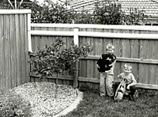 PVC pipe used as a slippery cap on top of the fence to deter cats