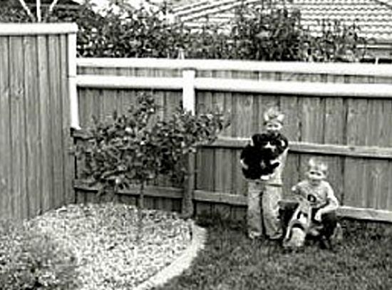 PVC pipe used as a slippery cap on top of the fence to deter cats