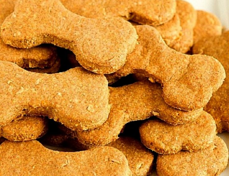 Homemade Dog Treat Recipes - Low in Fat and Sugar, Easy to Make