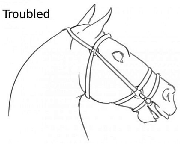 Signs that the horse is troubled, stressed or concerned 